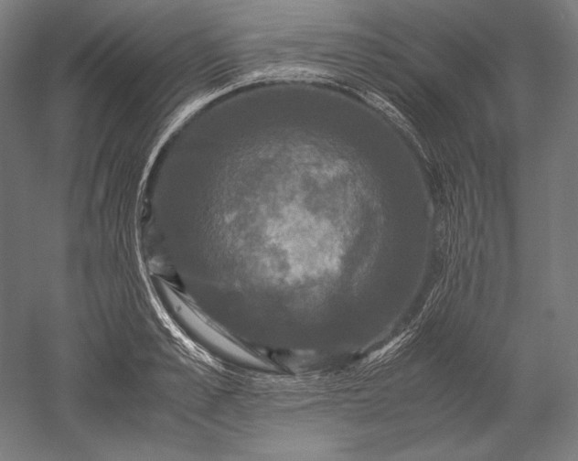 X0000051240989200507011621