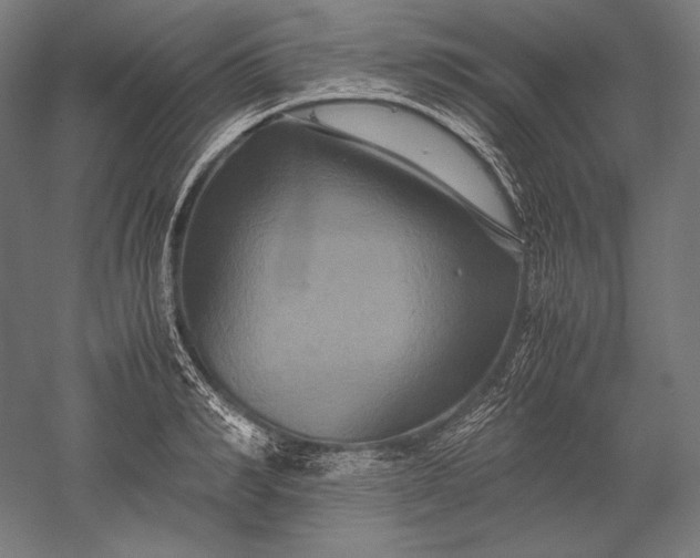 X0000051240990200507011621