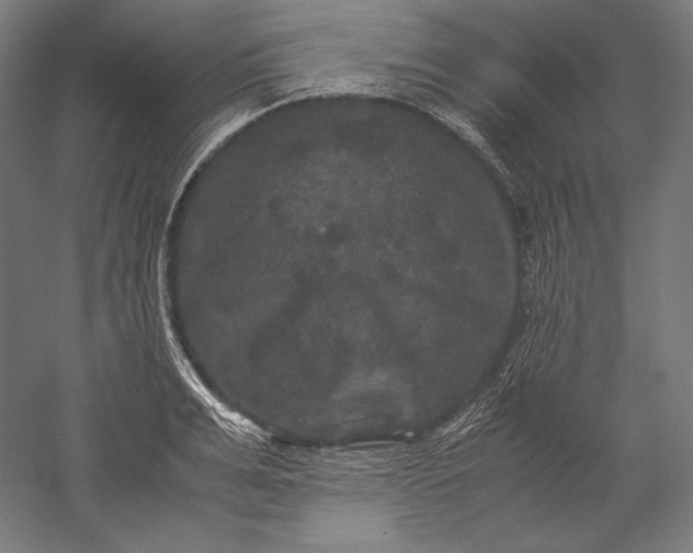 X0000051240991200507011621