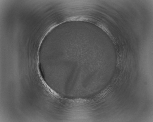 X0000051240992200507011621