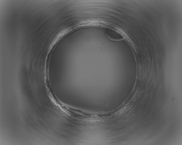 X0000051240994200507011621