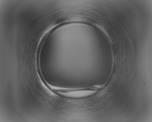 X0000051240995200507011621