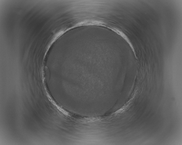 X0000051240997200507011621