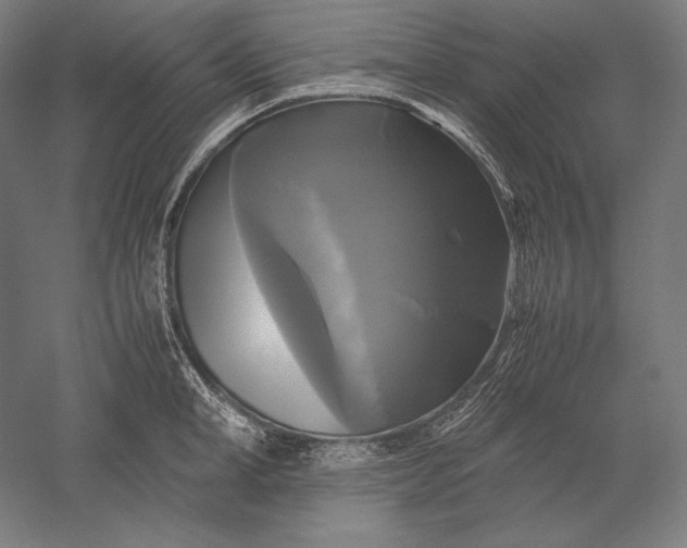 X0000051240998200507011621