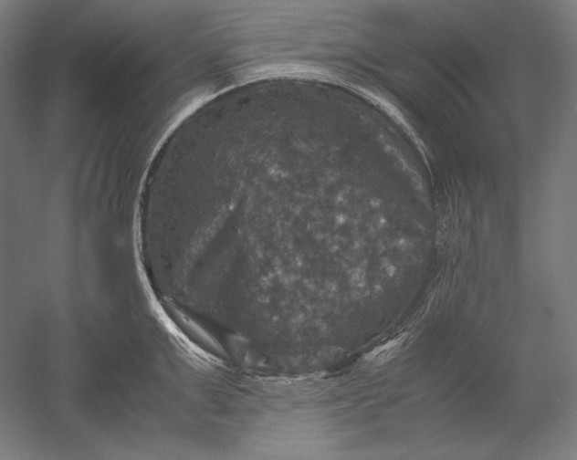 X0000051240999200507011621