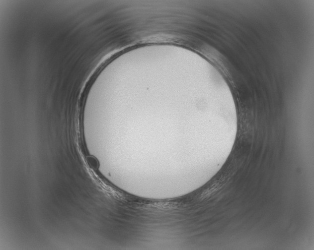 X0000051241000200507011621