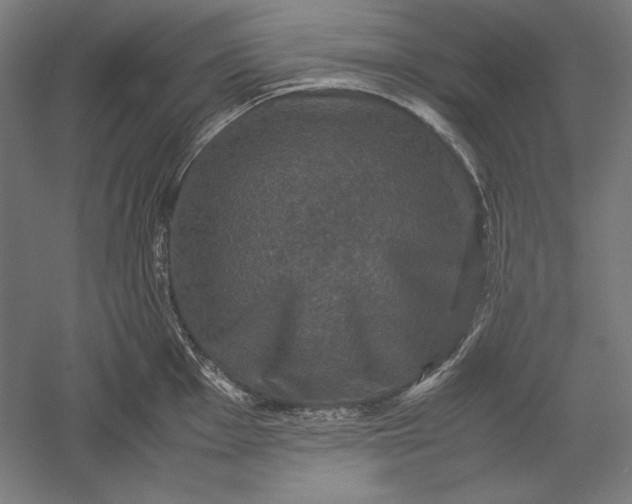 X0000051241001200507011621