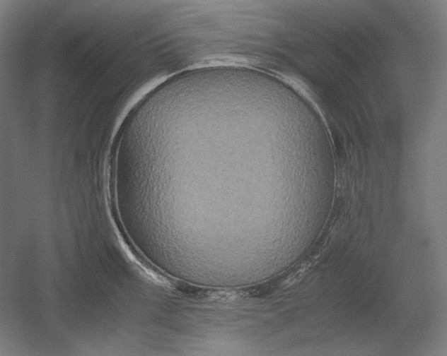 X0000051241003200507011621