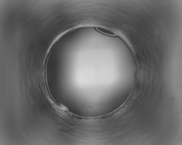 X0000051241004200507011621