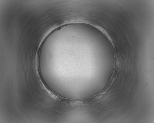 X0000051241006200507011621