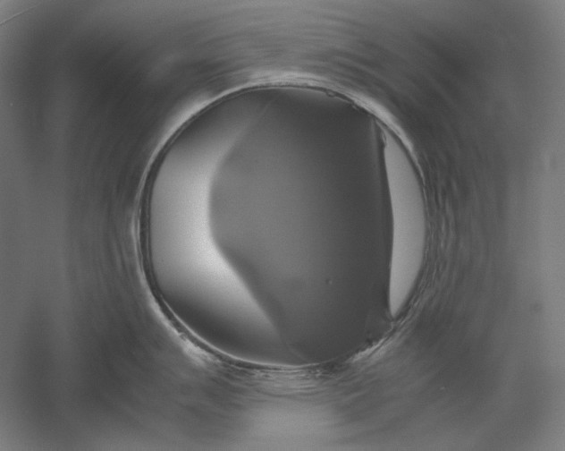 X0000051241007200507011621