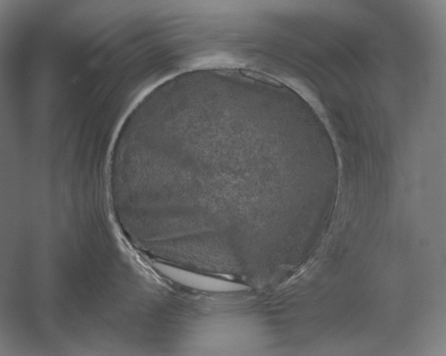 X0000051241008200507011621