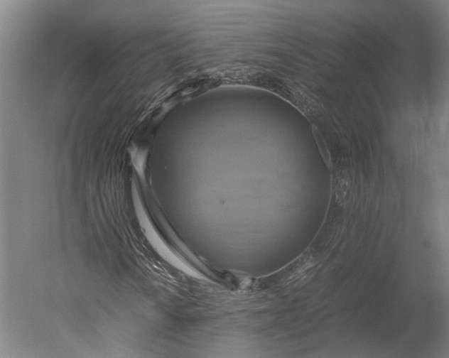 X0000051241010200507011620