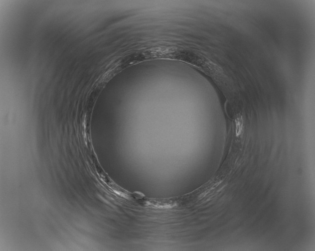 X0000051241011200507011620