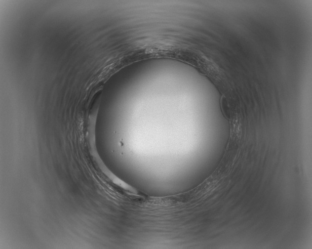 X0000051241012200507011620