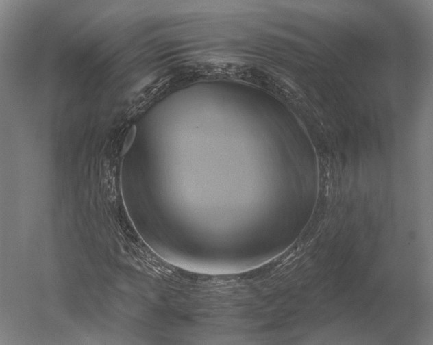 X0000051241013200507011620