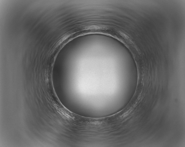 X0000051241017200507011620