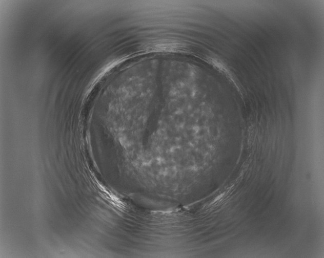 X0000051241019200507011620