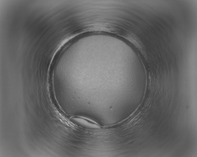 X0000051241020200507011620