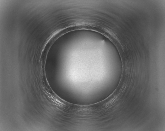 X0000051241021200507011620