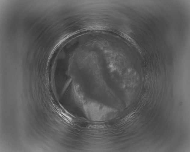 X0000051241027200507011620