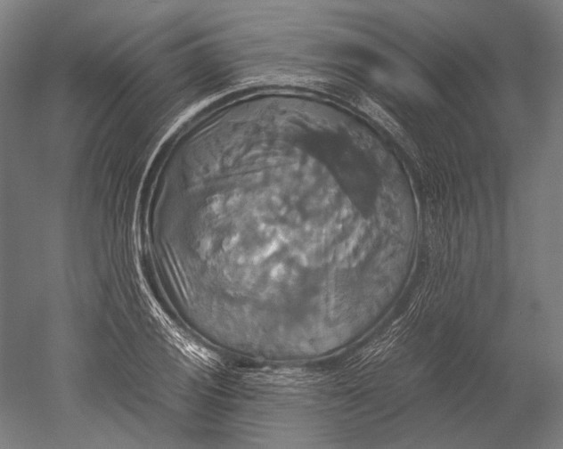 X0000051241028200507011620