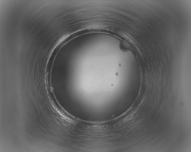 X0000051241029200507011620