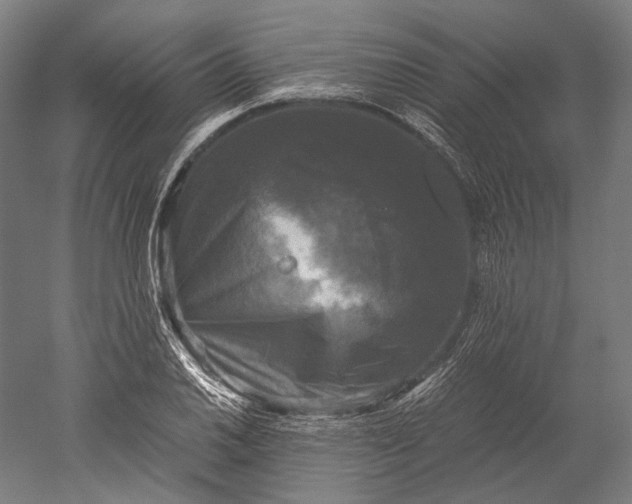 X0000051241030200507011620