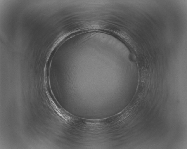 X0000051241031200507011620