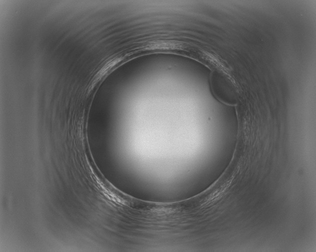 X0000051241033200507011621