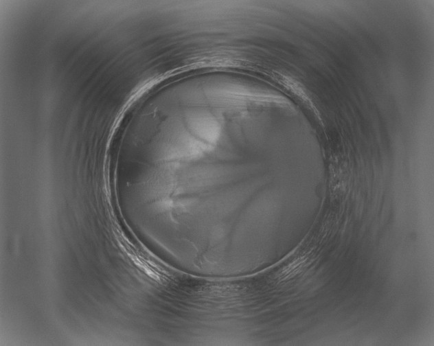 X0000051241035200507011621