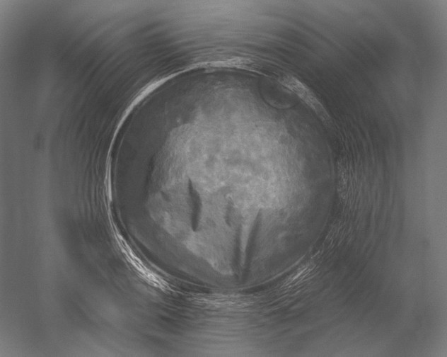 X0000051241036200507011621