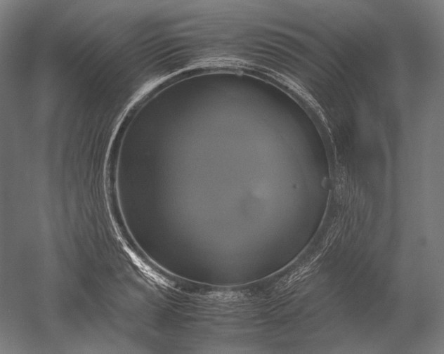 X0000051241037200507011621