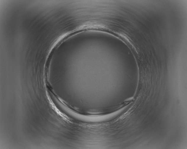 X0000051241038200507011621