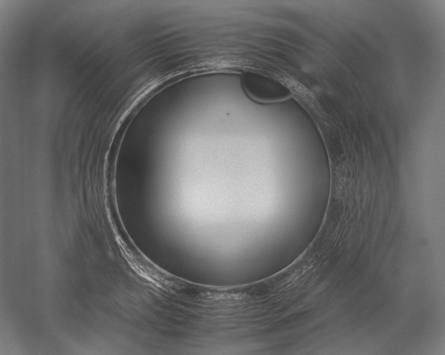 X0000051241039200507011621