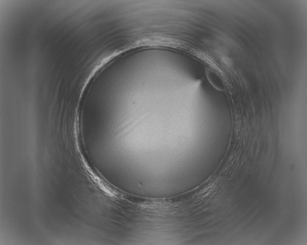 X0000051241040200507011621