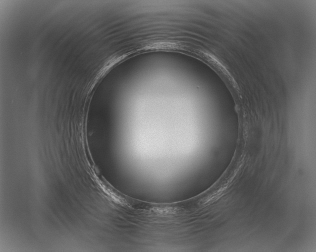 X0000051241041200507011621