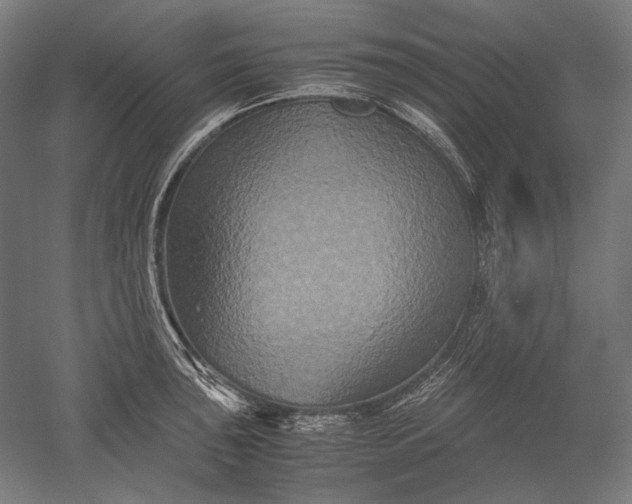 X0000051241043200507011621