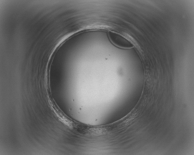 X0000051241044200507011621