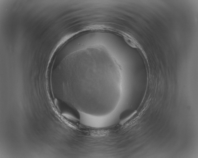 X0000051241045200507011621