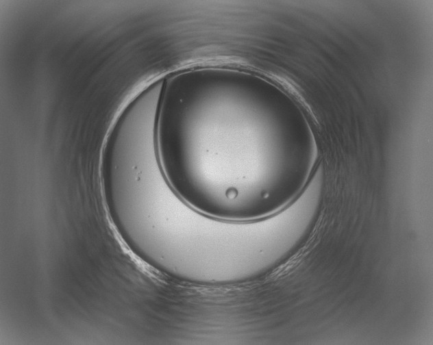 X0000051241046200507011621