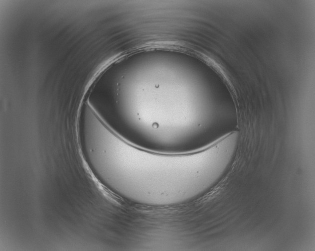 X0000051241050200507011621