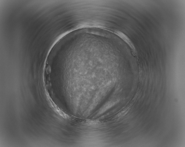 X0000051241052200507011621