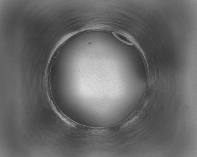 X0000051241053200507011621