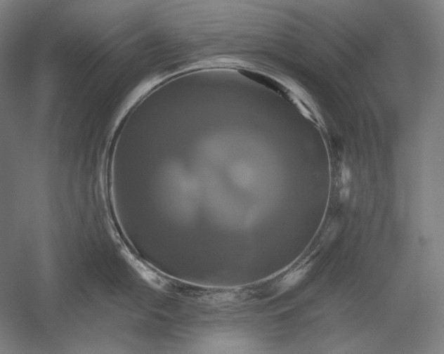 X0000051241054200507011621