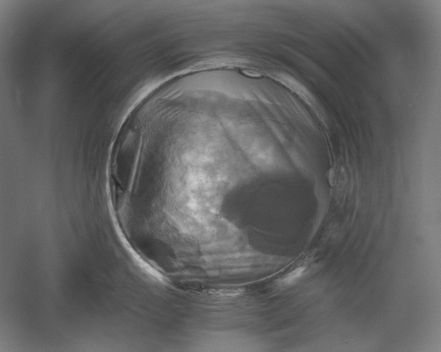 X0000051241055200507011621