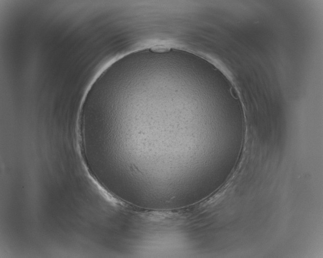 X0000051241056200507011621