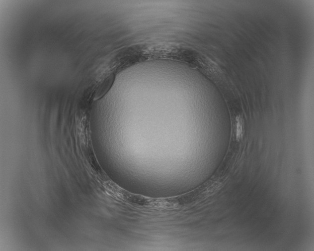 X0000051241059200507011620