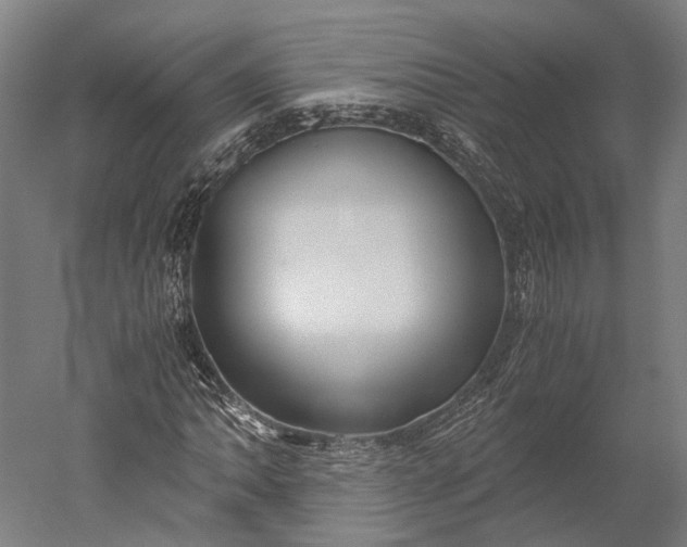 X0000051241062200507011620