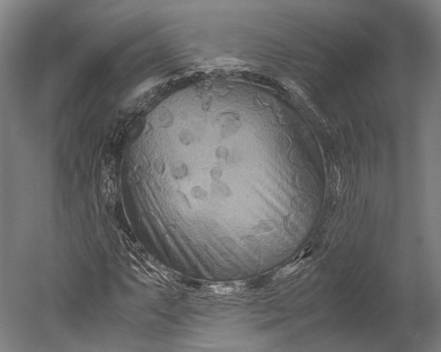 X0000051241063200507011620